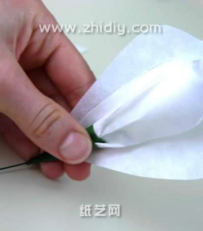 可以看到白色的咖啡滤纸现在成为纸玫瑰的花瓣