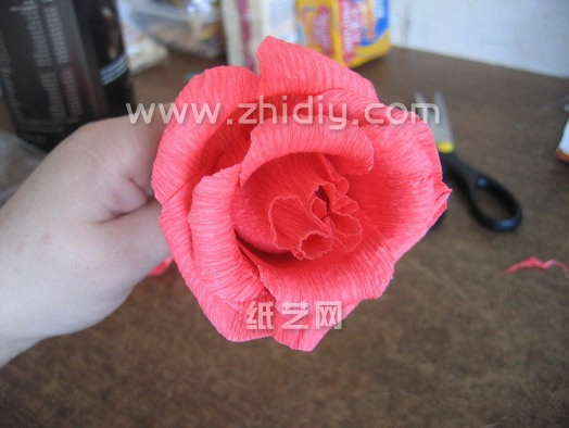 最终制作出来的皱纹纸折纸玫瑰就是如图所示，只是这个皱纹纸折纸玫瑰还没有花萼部分