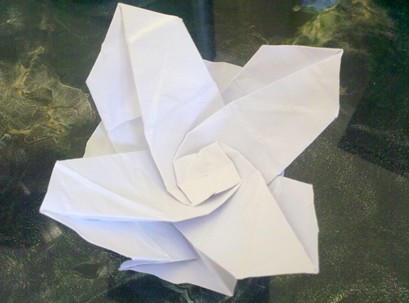 可以看到这样展开式的折纸玫瑰就像是盛开的手工折纸花朵一样的构型