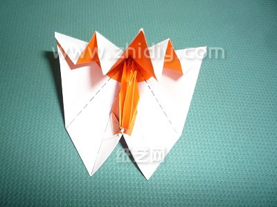 最终对于尾部的处理时而手工折纸千纸鹤在造型上看起来更加的完整