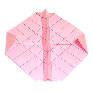 现在形成的折纸玫瑰构型样式是从另外的一个角度看的