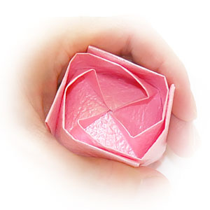 用手对QT折纸玫瑰进行旋转式操作使得其形成独特的旋转构型