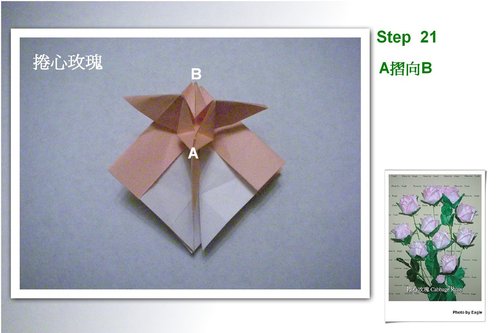 根据已经折叠出来的折纸结构模型进行塑形的操作是制作纸玫瑰的一个关键点