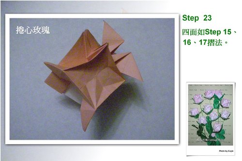 所有纸玫瑰折叠的步骤说明都可以在折纸玫瑰操作的示意图中看到或者找到