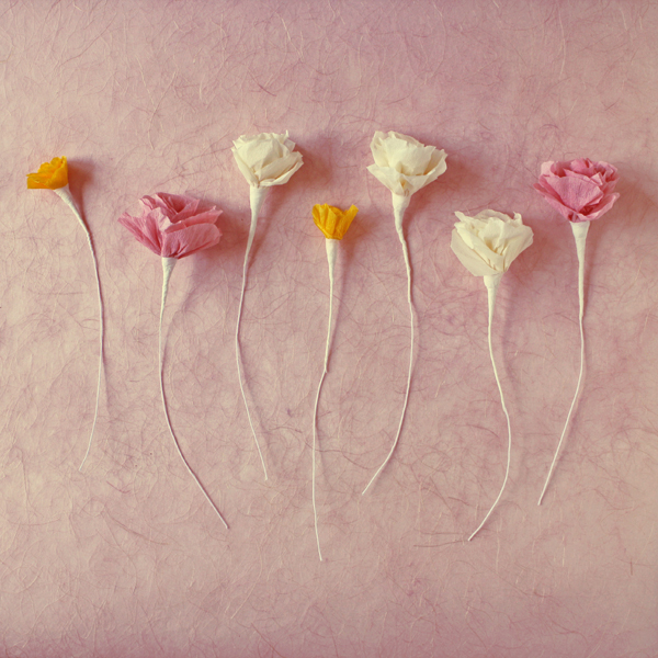 完成的单朵的皱纹纸纸玫瑰花在样式上看起来充满了爱