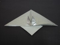 学习折纸海鸥应该更多的看看其他的折纸动物是如何制作的
