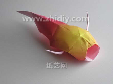 完成整形之后的折纸锦鲤看起来还是非常的漂亮和有趣的