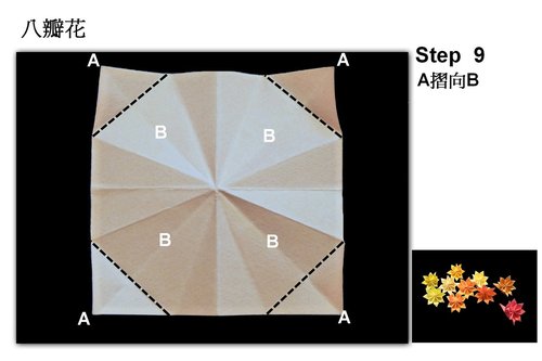 现在常见的各种折纸操作的位置都是折纸花展现外形的方式