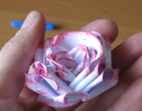 玫瑰花的折法之改进版卷纸玫瑰的实拍图教程