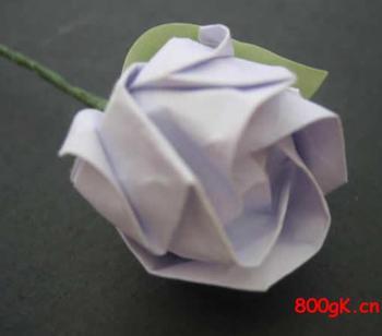 折纸白玫瑰让纯洁白玫瑰花语宣读你的爱情