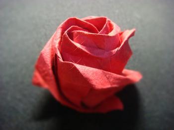红玫瑰花语在折纸中更显深刻长久