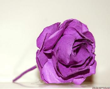花点时间折一折紫玫瑰，听一听紫玫瑰花语