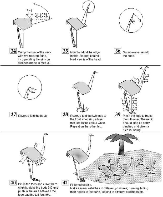 最总完成制作的折纸鸵鸟和真实的鸵鸟从外型上是非常相似的