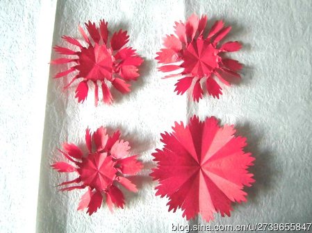 康乃馨纸艺花的花朵结构可以通过剪纸的方式来进行效果的展现