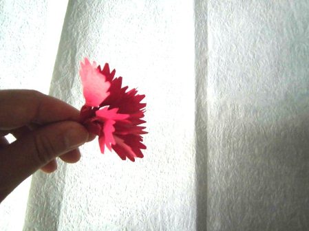 不过折纸玫瑰花也可以被当做是母亲节的礼物来进行使用