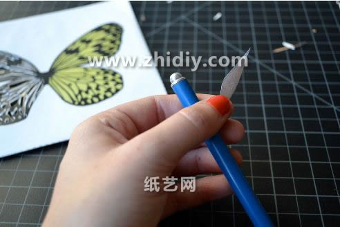 学习立体纸雕蝴蝶的好处是可以让自己的母亲节礼物变得更加的丰富一些