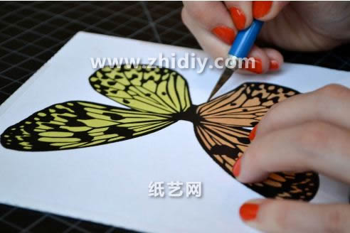这个立体纸雕蝴蝶是通过层叠纸雕的形式来展现其非常漂亮的一面的
