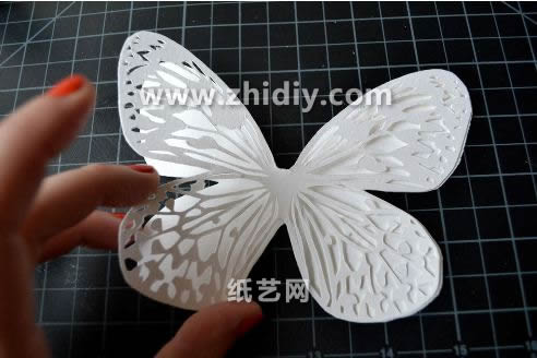 简单漂亮的立体纸雕蝴蝶从结构和样式上来看都具有极好的艺术美感
