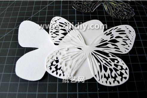 学习立体纸雕蝴蝶应该学会比较好的把握蝴蝶本身的结构样式