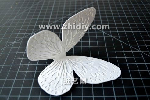 立体纸雕蝴蝶在结构上立体感非常的不错并且有空间的雕塑特点