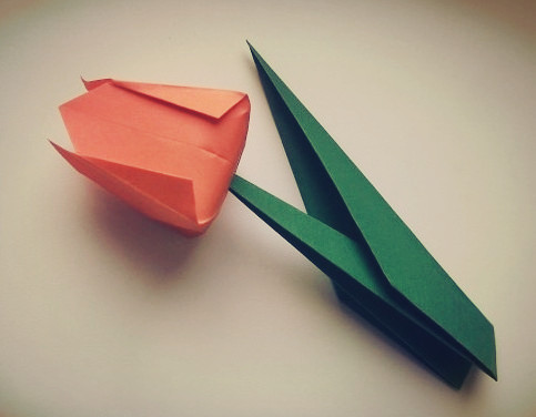 最终完成制作的折纸郁金香制作教程教我们制作出漂亮的折纸郁金香来