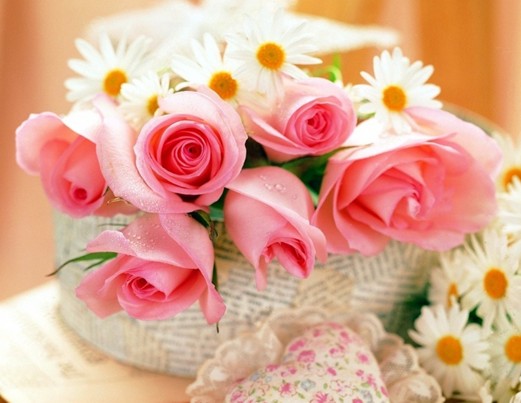 11朵粉色玫瑰花语一生一世只爱唯一的你