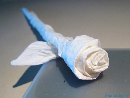 折纸玫瑰花的折法之餐巾纸制作简单折纸玫瑰花教程