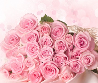 为恋人朋友家人折纸粉玫瑰读懂粉玫瑰花语中的唯一