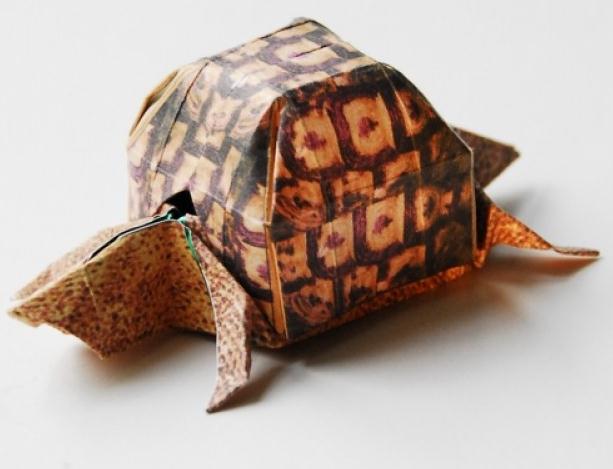 折纸箱龟折纸图纸教程[动物折纸图谱]