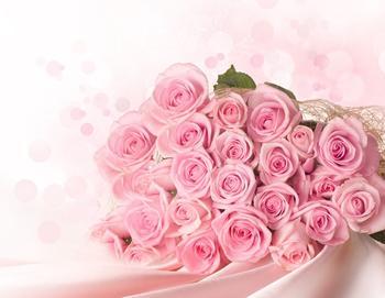 一个人的爱情，一个人的33朵粉玫瑰花语