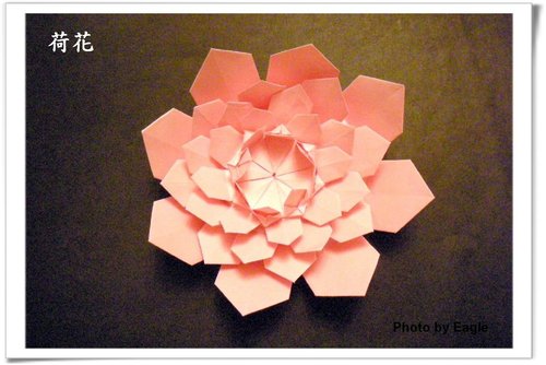 手工折纸荷花的图解教程一步一步的教你制作出漂亮的折纸荷花来