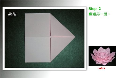 折纸荷花在制作的时候采用的是大家非常喜欢的组合折纸的方式