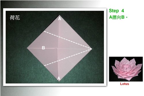 组合折纸荷花的折纸图解教程一步一步的教你学习经典的折纸荷花