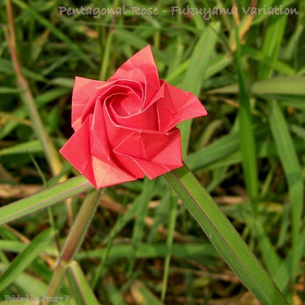 折纸玫瑰花的折法图解之十瓣折纸玫瑰花折纸教程