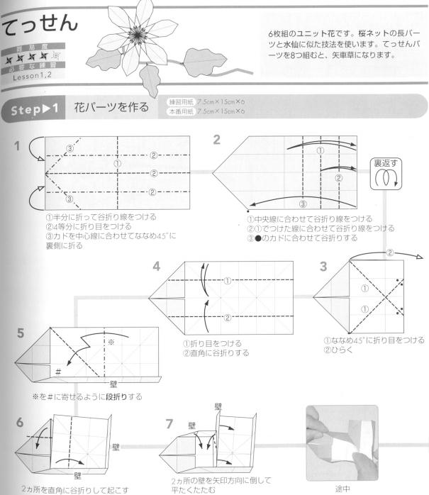 手工折纸铁线莲的基本折法图解教程一步一步的教你完成折纸铁线莲的折叠