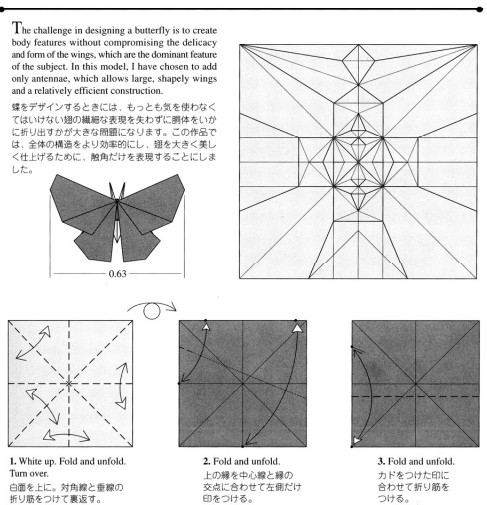 手工折纸蝴蝶的基本折法图解教程详解如何制作漂亮的折纸蝴蝶