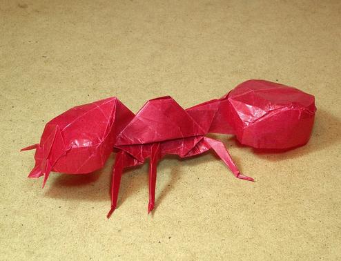 折纸蚂蚁的图解教程手把手教你制作折纸蚂蚁