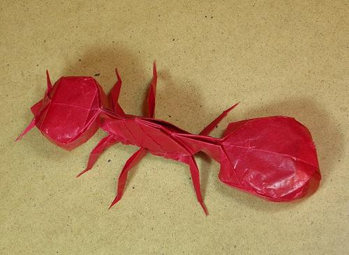 昆虫折纸—蚂蚁的折纸图解教程
