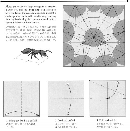 折纸蚂蚁的基本折法图解教程帮助你更好的理解折纸蚂蚁的精髓