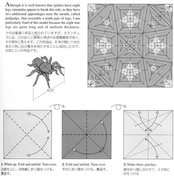 图解折纸蜘蛛的教程帮助喜欢折纸蜘蛛制作的同学完成自己的折纸蜘蛛