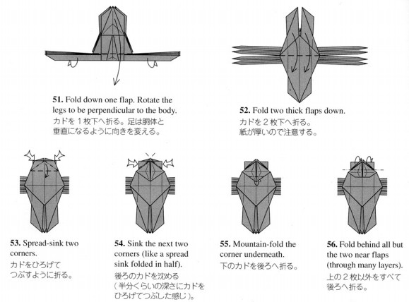 常见的折法图解教程一步一步的告诉你如何完成折纸蜘蛛的制作