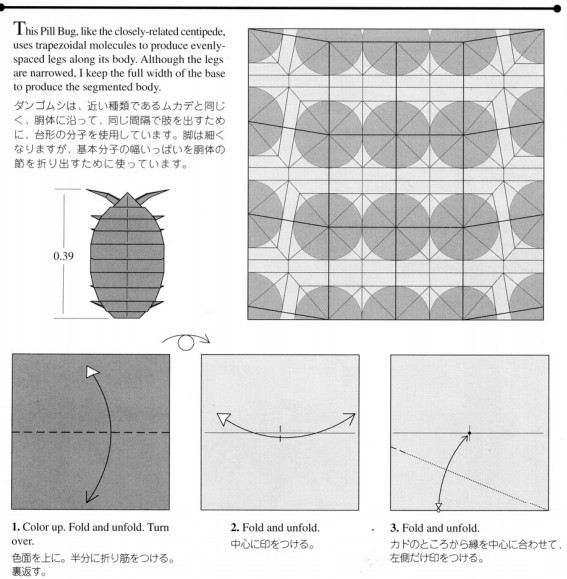 手工折纸西瓜虫的基本折法教程比折纸昆虫的制作更加的有趣