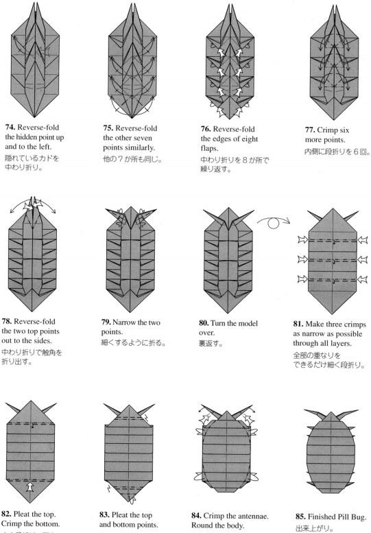 学习折纸西瓜虫的基本折纸图解教程手把手让你学会折纸西瓜虫教程