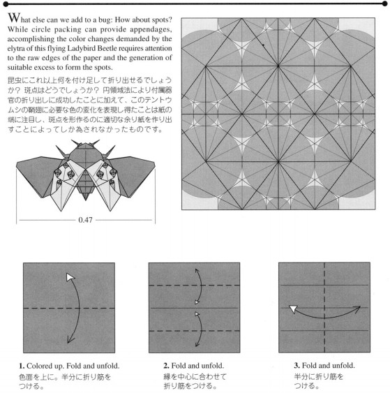 折纸昆虫的折法教程将最漂亮的折纸瓢虫折法通过图解的形式告诉你