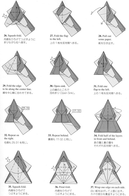 学习折纸瓢虫的基本折法制作出一个构型真实的折纸瓢虫来