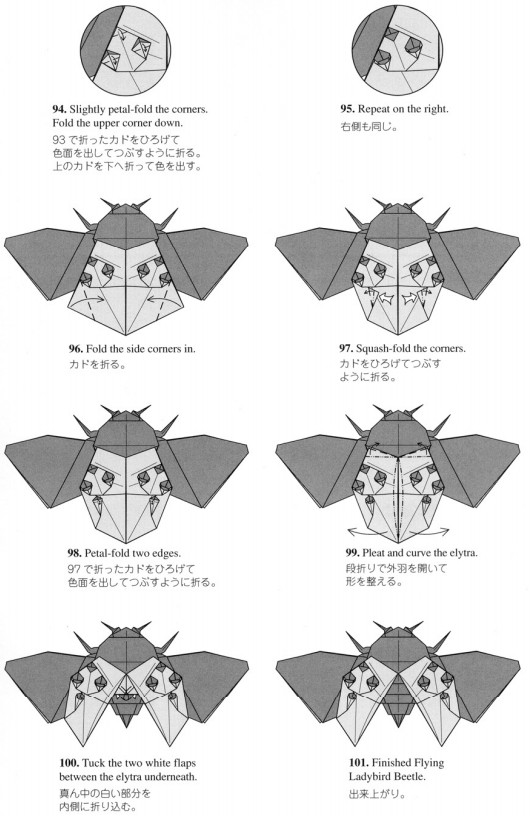 学习折纸昆虫的制作提升大家对于手工折纸昆虫的认识和理解