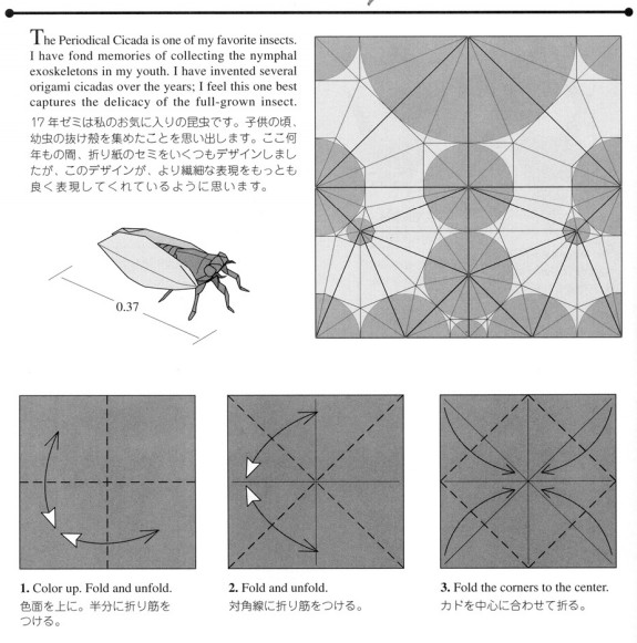 手工折纸昆虫教程展现出折纸昆虫的神奇魅力和独特的折法