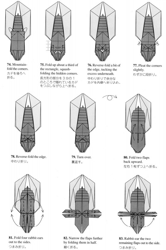 手工折纸昆虫的折纸图解教程帮助你更好的这地漂亮的构型