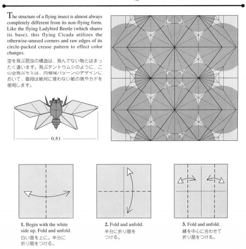 手工折纸昆虫的基本折纸图解教程帮助你更好的理解手工折纸制作