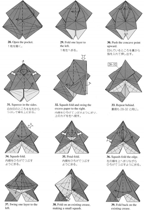 学习折纸制作的时候通过基本的折纸办法来掌握新的折纸技巧